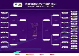 意大利杯赛制规则详解